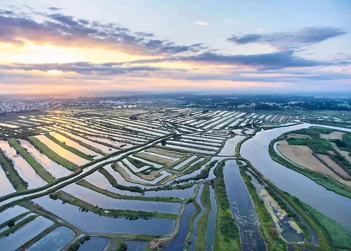 度假居 Pomme De Pins *